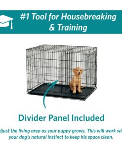 MidWest Homes for Pets Newly Enhanced Double Door iCrate Dog Crate, Includes Leak-Proof Pan, Floor Protecting Feet, Divider Panel & New Patented Features 36 inch (Pack of 1) 29 81ZuFOnPndL