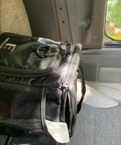 Evolutionize Meal Prep Insulated Lunch Bag - Meal Prep Cooler Bag Patented Lunch Box includes Portion Control Meal Prep Containers + Ice Pack (3 Meal, Black) 3 Meal Black/Black 38 81Zxf54K9L