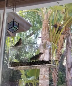 Window Bird Feeder with Strong Suction Cups, Clear Window Bird Feeders for Outside - Transparent Bird House, Balcony Glass Mount, Acrylic Cat, Kids & Elderly Viewing Clear Bird Feeder for Window Perch Large Ranch 45 81Zz5TYyO3L