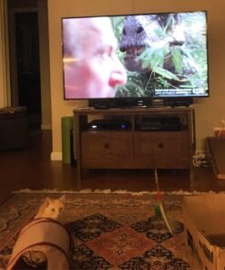 GoCat DaBird Feather Refill, Assorted Colors, Pack of 3 3 Pack 17 81a1GvzznXL