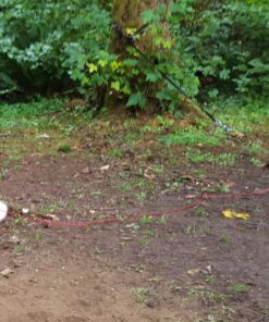 BV Dog Tie Out Cable 30 Feet - Dog Leads for Yard Heavy Duty - Up to 125 Pounds | Tie Out Cable for Dogs, Reflective Dog Lead, Dog Cable 30ft | Rust Free Dog Chain Outdoor | Dog Chain for Yard (Red) 125lbs/ 30ft/ Red 34 81a1aiihq0L