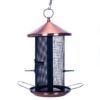 Cottage Garden 12 inch Copper Finish Heavy Duty Mesh Metal 3 Lb. Dual Nut and Seed Bird Feeder Copper Tone 15 81a3F30GdlL
