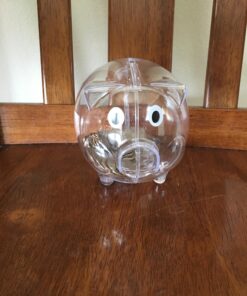 Windy City Novelties Small Educational Kids Clear Plastic Piggy Banks 40 81a3wepJXhL