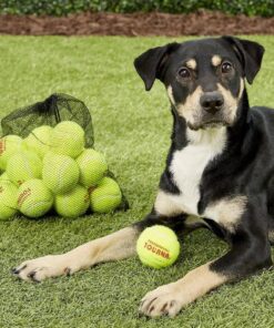 Tourna Mesh Carry Bag of 18 Tennis Balls 19 81a7dToINJL