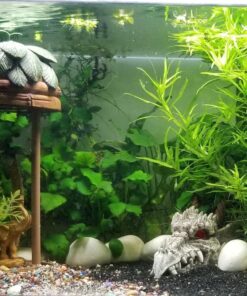 Penn-Plax Deco-Replicas Dragon Skull Gazer Aquarium Decoration – Safe for Freshwater and Saltwater Fish Tanks – Large 23 81a8g4Rz0L