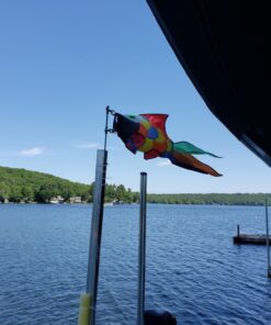 emma kites Cute Rainbow Fish Windsock Spinner Spiral 32-inch 33 81aAn5SQCcL