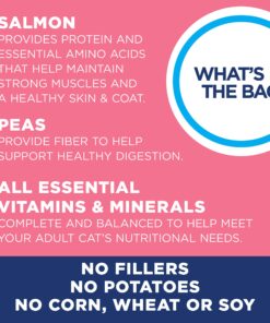 Natural Balance Limited Ingredient Adult Grain-Free Dry Cat Food, Salmon & Green Pea Recipe, 10 Pound (Pack of 1) 10.00 Pound (Pack of 1) 18 81aCdAeym8L