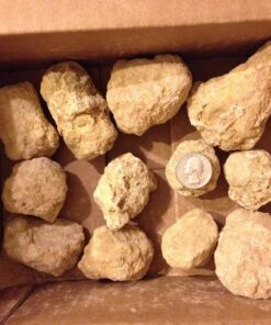 Break Your Own Geodes - Set of 12 - STEM Toy and Classroom Learning 33 81aDUNEDcvL