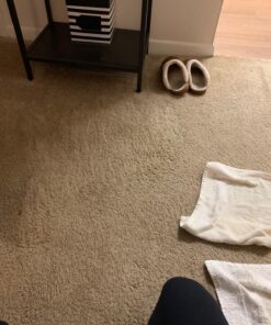 BISSELL Professional Power Shot Oxy Carpet Spot and Stain Remover, 14 ounces, 95C9 45 81aDpWyprML