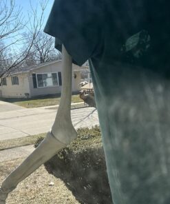 Wildlife Sciences High Energy Suet Cake 10 Pack 34 81aIv 43W9L