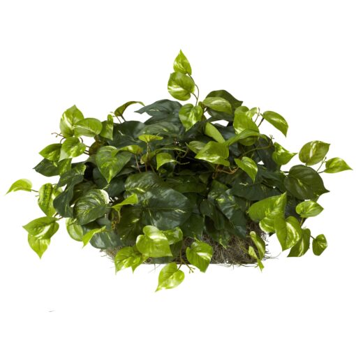 Nearly Natural 15in. Pothos Ledge Plant (Set on Foam) Silk Plant,Green