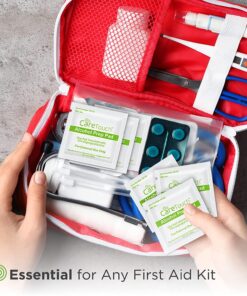 Care Touch Alcohol Wipes Individually Wrapped - Prep Pads with 70% Isopropyl Alcohol, Great for Home, Medical & First Aid Kits Sterilized, Antiseptic 2-Ply Swabs 400 Count 400 Count (Pack of 1) 23 81aOduKOycL