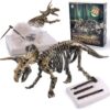 Dig & Discover Dino Triceratops Dinosaur Skeleton 3D Fossil Bones Excavation, Science Educational Toy Kit for Kids, Children