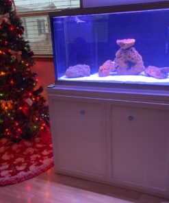 Current USA 36-48" Inch Orbit Marine LED Saltwater Reef Marine Aquarium Light | 24 Hour IR Lighting & eFlux Wave Pump Control | Adjustable Color Spectrum for Fish Tank (4102) Black 36 to 48-Inch 51 81aYZYJlO2L 2