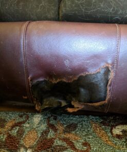 Pelle Patch - Brown Leather Patches for Furniture - 25 Colors Available - Original 8x11 - Brown Medium 8-inch x 11-inch 31 81adzCnUvuL