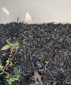 Window Bird Feeders for Outside - Large Bird House Style Window Bird Feeder - Window Bird Feeders with Strong Suction Cups with Drain Holes, Removable Tray, Large Seed Capacity and Rubber Perch 37 81ajclEYpEL