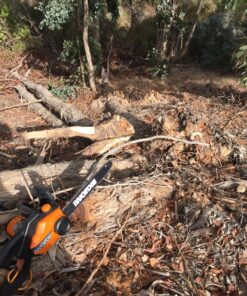 WORX WG303.1 14.5 Amp 16" Electric Chainsaw 16" 14.5Amp Electric Chainsaw 53 81amXMB4mhL