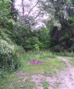 4K Video Camera Camcorder, 30MP UHD Wifi IR Night Vision Video Recorder with IR Flashlight, Vlogging Camera for YouTube Filming, 30X Digital Zoom Touch Screen Video Camera with Remote, Wide Angle 73 81angVGjllL