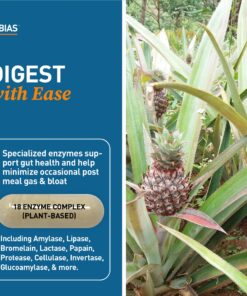 Dr. Tobias Digestive Enzymes with Amylase, Bromelain, Lipase, Lactase, Protease, Papain & More, Digestion Supplement with 18 Enzymes for Digestion and Gut Health, 60 Capsules, 30 Servings 60 Count (Pack of 1) 18 81ap7hgTtCL