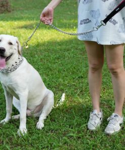 Pettom Dog Prong Collar Training Chain Collar Pet Choke Pinch Training Collar Adjustable for Pitbulls (S 22.6inch) S 18.3inch 16 81arJV73IDL