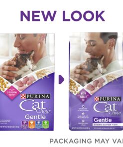 Purina Cat Chow Gentle Dry Cat Food, Sensitive Stomach + Skin - 13 lb. Bag 13.00 Pound (Pack of 1) 29 81avPy0LXAL