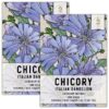 Seed Needs, Chicory Seeds - 500 Heirloom Seeds for Planting Cichorium intybus - Blue Floweres/Wildflowers, Non-GMO & Untreated, Italian Dandelion (2 Packs) 2 Packs (1,000 Seeds) 82 81b0Zvn1qPL