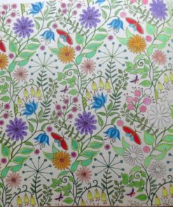 Secret Garden: An Inky Treasure Hunt and Coloring Book for Adults 97 81b9PAgBjLL