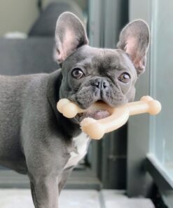 Nylabone Wishbone Power Chew Dog Toy Medium/Wolf (1 Count) Medium up to 35 lbs. 20 81bA4gW04ZL