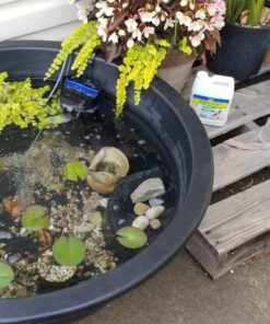 API POND STRESS COAT Pond Water Conditioner 32-Ounce Bottle Water Treatment 21 81bB geBESL