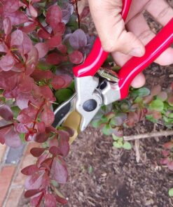 Haus & Garten ClassicPRO 8.5" Bypass Pruning Shears - Premium Garden Shears - Use As Gardening Shears, Garden Clippers, Handheld Heavy-Duty Professional Pruning Shears For Gardening & Pruning Scissors 45 81bCAbFgtyL