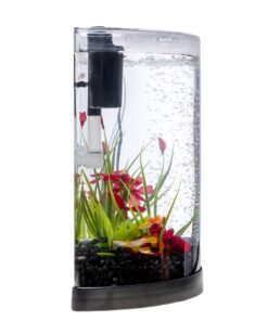 Tetra ColorFusion Starter aquarium Kit 3 Gallons, Half-Moon Shape, With Bubbler And Color-Changing Light Disc 39 81bDHFfgX5L