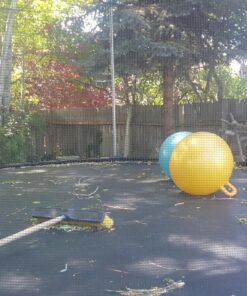 Xino Sports Hopping Ball for Kids - Teens and Adults, Bouncy Balls for Kids, Hopper Ball, Jumping Ball with Handle, 22 Inch Diameter, Kids Outdoor Toys (Blue) Blue 22 81bDY4x i6L