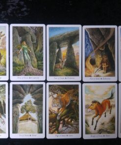 The Wildwood Tarot Deck: Wherein Wisdom Resides (Modern Tarot Library) 66 81bFPdp2xsL