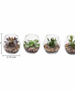 MyGift Assorted Artificial Succulent Fake Plant in Small Clear Glass Display Vases, Set of 4 26 81bJNq2fOgL