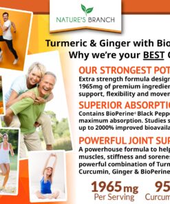 Extra Strength Turmeric Curcumin and Ginger & BioPerine - 1965mg Joint Support Supplement for Aches with Black Pepper Powder Extract - Premium Made in USA | Vegan Natural Non GMO Pills | 90 Capsules 19 81bNoK21tSL 3