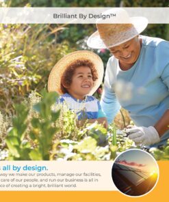 Suncast EMW8863250 Elements Loveseat with Storage-Lightweight, Resin, All-Weath, White 21 81bSAGZKcuL