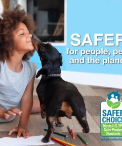 Bona Hardwood Floor Cleaner Spray Mop Cartridge - 34 fl oz - Unscented - Refillable - Residue-Free Floor Cleaning Solution for Bona Spray Mops for Wood Floors 12 81bTEqv0RdL