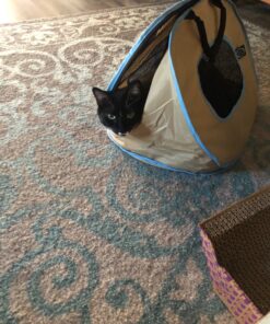 Necoichi Portable Stress Free Cage Carrier and Litter Box, Indoor & Outdoor, Travel (Beige, Carrier) Beige 45 81bWOEtrtL 1