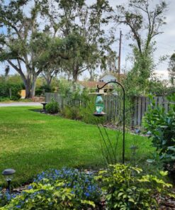 BOLITE 18001 Hummingbird Feeder, Glass Wild Hummingbird Feeders for Outdoors, Retro Edison Bulb Bottle, 25 Ounces, Green, Xmas Gifts for Bird Lovers Retro Bulb 42 81bZ4ehYw L