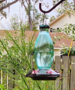 BOLITE 18001 Hummingbird Feeder, Glass Wild Hummingbird Feeders for Outdoors, Retro Edison Bulb Bottle, 25 Ounces, Green, Xmas Gifts for Bird Lovers Retro Bulb 43 81ba4klLplL