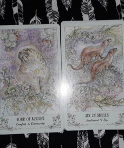Spiritsong Tarot 63 81bdtjvMNAL