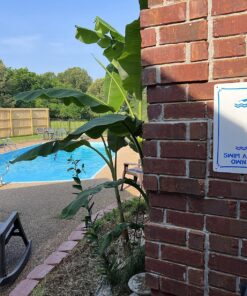 No Lifeguard On Duty Swim at Your Own Risk Sign, Pool Sign, 10x14 Heavy 0.40 Aluminum Weather/Fade Resistant, Easy Mounting, Indoor/Outdoor Use, Made in USA 21 81be88gDU8L