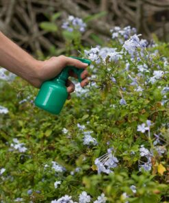 Garden Tool Set | Garden Tools Organizer Tote | Gardening Gloves Included Great Garden Tools for Woman and Men | 9 Piece Garden Accessories Tool Organizer Kit | Gardening Gifts | Gardeners Supply Green 27 81bfA MW3NL