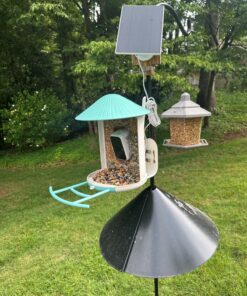 NETVUE Birdfy Smart Bird Feeder with Camera - Auto Capture & Identify 6000+ Species, Free AI Forever, Ideal Gift for Birdwatching and Bird Lovers Blue 38 81bfb7s3erL