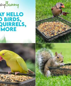 Gray Bunny Ground Bird Feeder Tray, Metal Platform Bird Feeder Dish Size 7 x 7 Inches, Durable Rust Resistant Feeder for Wild Birds, Squirrels, Doves, Cardinals 1 Pack (7x7 inches) 21 81bjGZdK nL