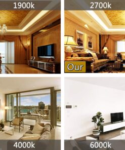 DSYJ for Edison Light Bulbs, Vintage 60 Watt Incandescent Light Bulbs E26 Base Dimmable Decorative Antique Filament Light Bulbs 252 Lumens, Ray Amber Warm 1 Pcs 1 Count (Pack of 1) 26 81bkqOWzhcL