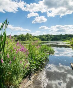 Nikon AF-P DX NIKKOR 10-20mm f/4.5-5.6G VR Lens Black Lens Only 66 81blOoImX1L