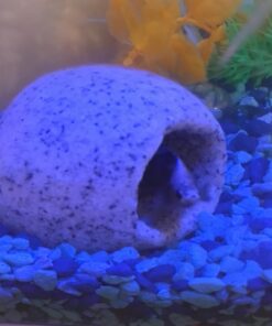 Penn-Plax Deco-Replicas Granite Aquarium Ornament & Hideaway – Realistic Stone Appearance – Safe for Freshwater and Saltwater Tanks – Small Size, White (RR1071) 41 81bloLHd35L