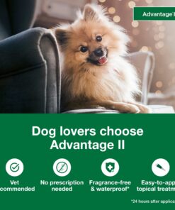 Advantage II Small Dog Vet-Recommended Flea Treatment & Prevention | Dogs 3-10 lbs. | 6-Month Supply 14 81bpC8DDmlL