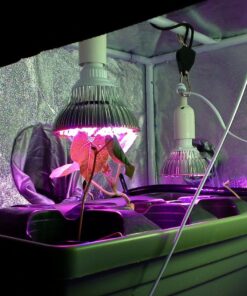 Woods 50006 50006WD Indoor 24-Hour Mechanical Outlet Timer,30 Minute Intervals, Ideal for Automation Holiday Decorations and Christmas Lights, 2 Pack, 2-Pack, Multi, 2 23 81bqNVX6qKL